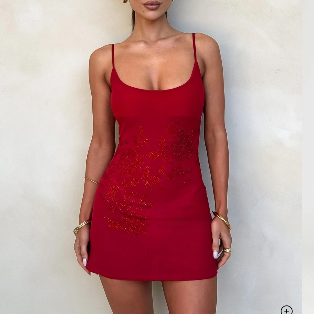 Tiger Mist Red Mini Dress
